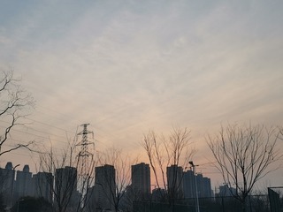 1411091