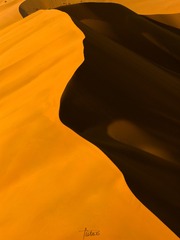 1000100561