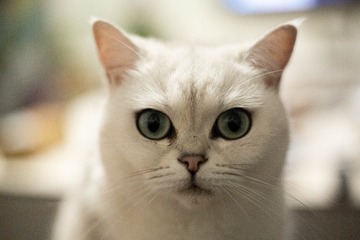 101057