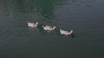 103308