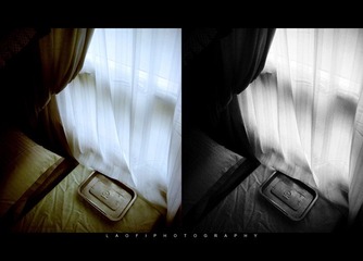 IMG_0762.jpg