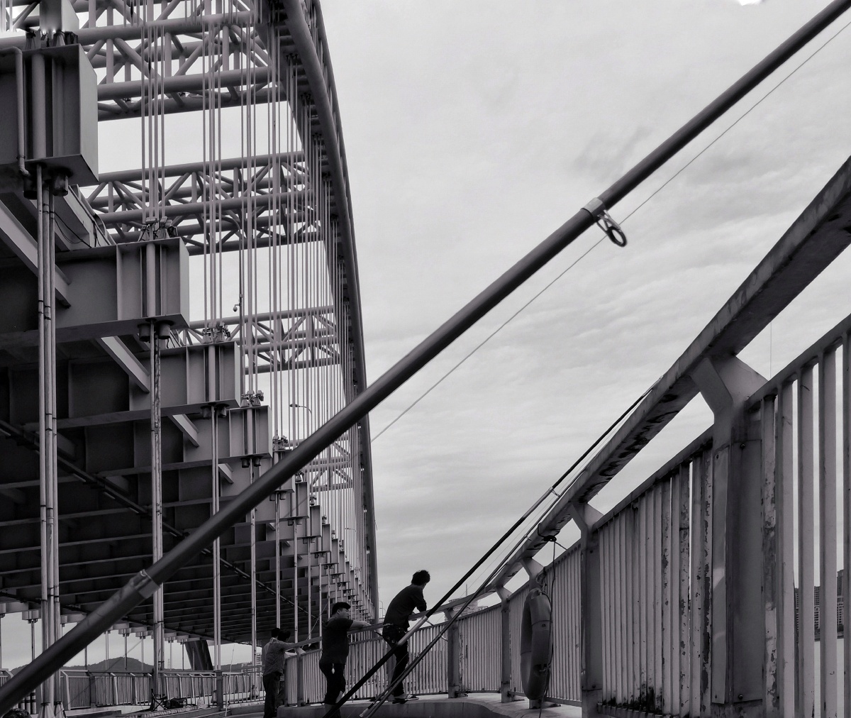 路过钱塘江,看见一群人在桥上垂钓,满怀着期待的心情,等待鱼上钩