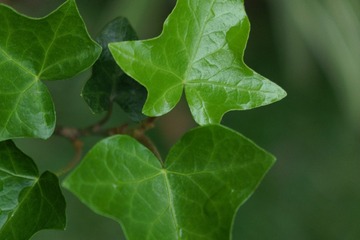 468