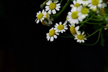 100236