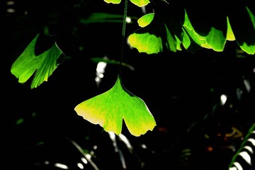 DSCF7942.jpg