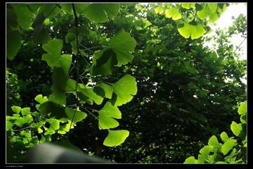 DSCF7947.jpg