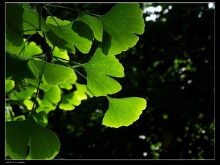 DSCF7948.jpg