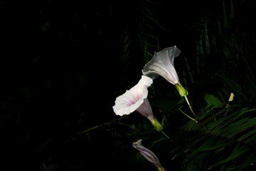 DSCF7969.jpg