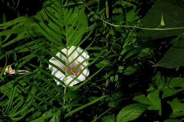 DSCF7989.jpg