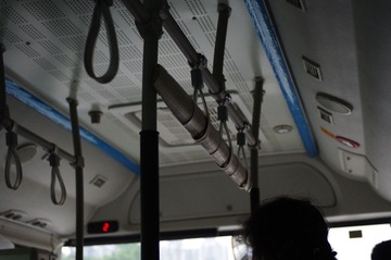 IMGP9772.jpg