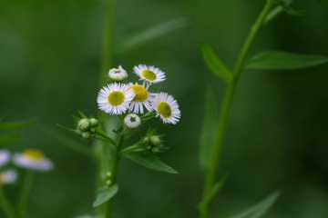 IMGP0042_副本.jpg