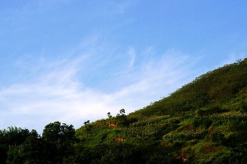 IMGP2427.jpg