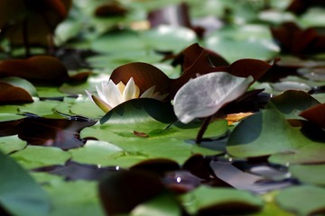 IMGP2934.jpg