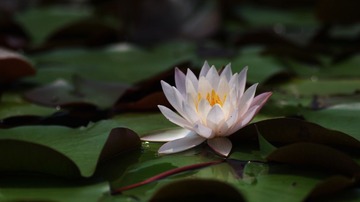 IMGP2940.jpg