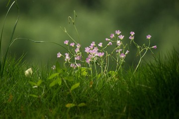 DSC02716_