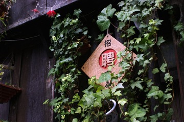 DSC02885_