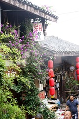DSC02891_