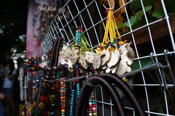 DSC02901_