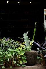 DSC02913_