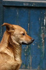 DSC02950_