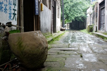 DSC02954_