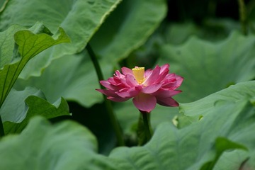 DSC03093_