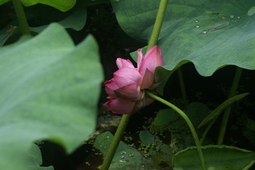 DSC03097_