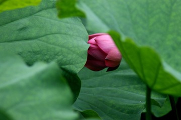 DSC03098_