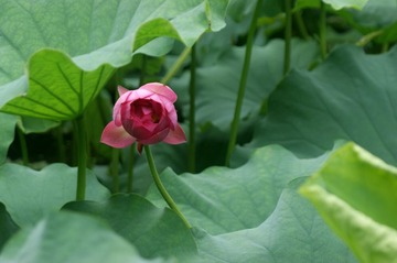DSC03107_