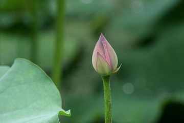 DSC03108_