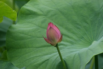 DSC03109_