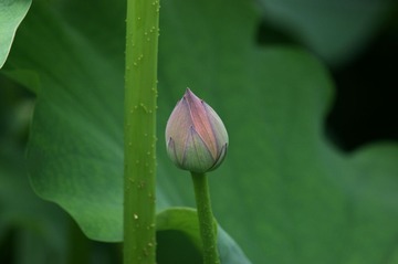 DSC03111__