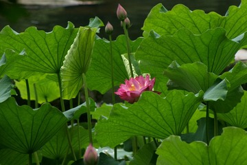DSC03119_