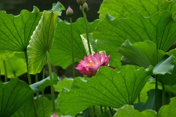 DSC03120_
