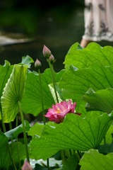DSC03121_