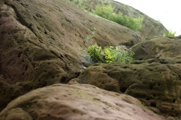 DSC03298_