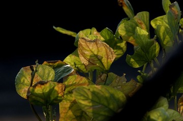 _DSC3460_