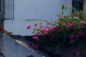 _DSC3462_