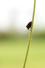 DSC00041_
