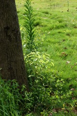 DSC00045_