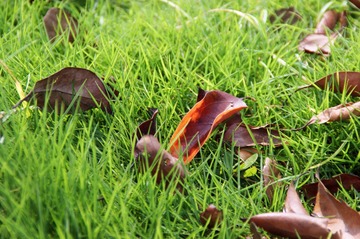 DSC00054_