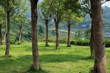 DSC00063_