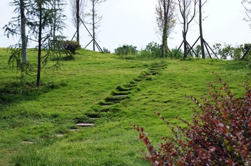 DSC00064_