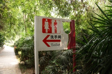 DSC00080_