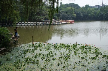 DSC00082_