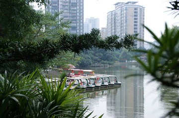 DSC00084_