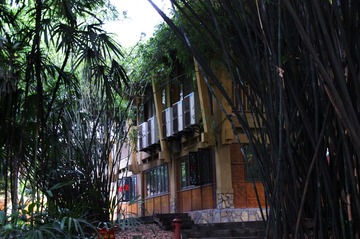 DSC00091_