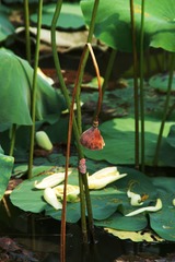 DSC00106_