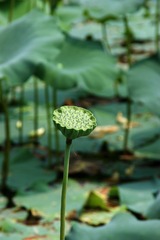 DSC00115_