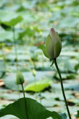DSC00120_